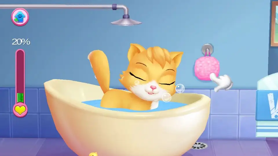 小猫简介软件下载_(小猫的简介200字左右)